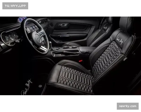 野马分区赛7比31不敌比尔季后赛之旅结束