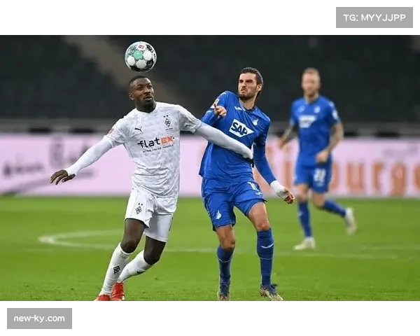 霍芬海姆签下中卫卡巴克 期待发挥定位球防守价值 霍芬海姆签下中卫卡巴克 期待发挥定位球防守价值